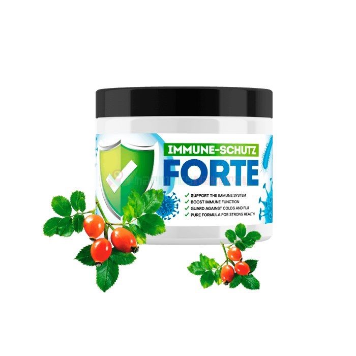 Immune Protect Forte - средство для иммунитета в Штайр