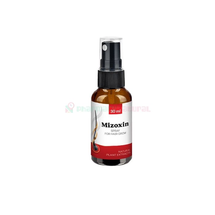 Mizoxin - hair restoration product in Jurmala