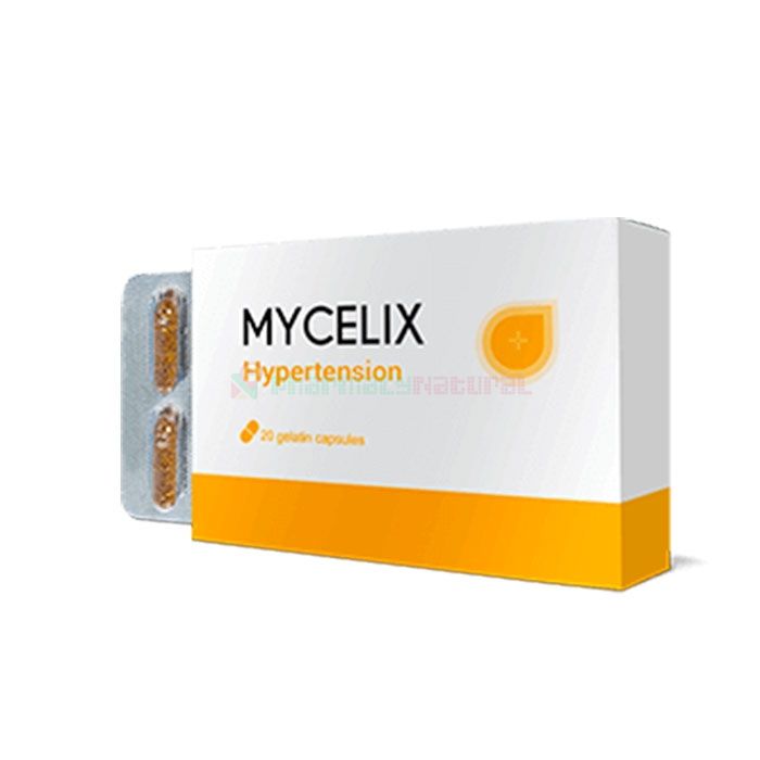 Mycelix - remedy for hypertension in Trieste